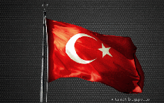 TurkishChat
