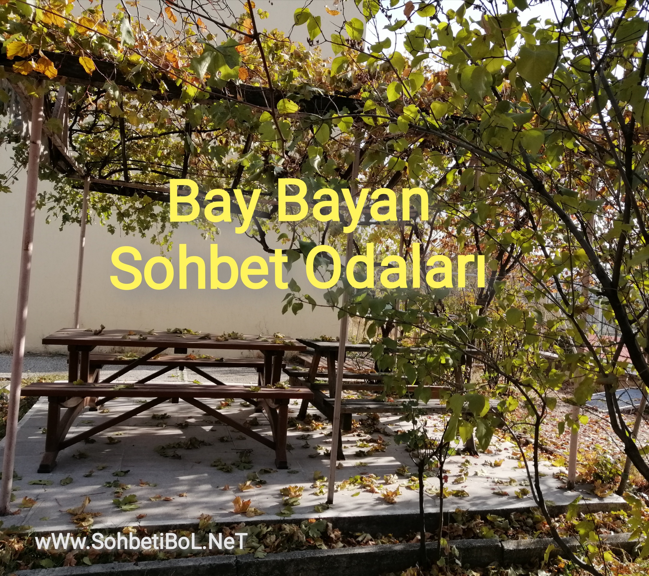 Bay Bayan Sohbet Odaları