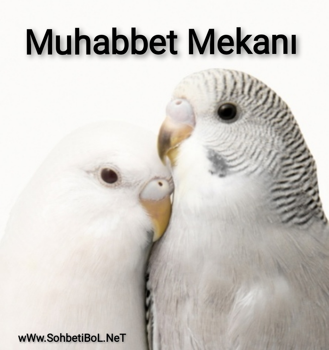 Muhabbet Mekanı